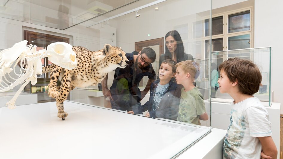 Joanneumsviertel I Naturkundemuseum Graz