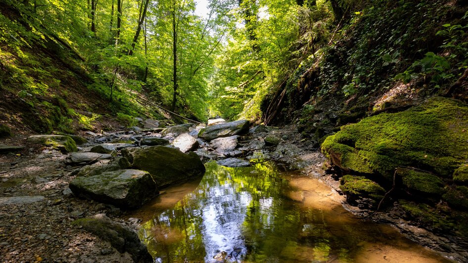 Wanderung für alle Sinne - Rettenbachklamm