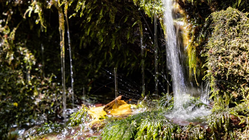 Wanderung für alle Sinne - Rettenbachklamm