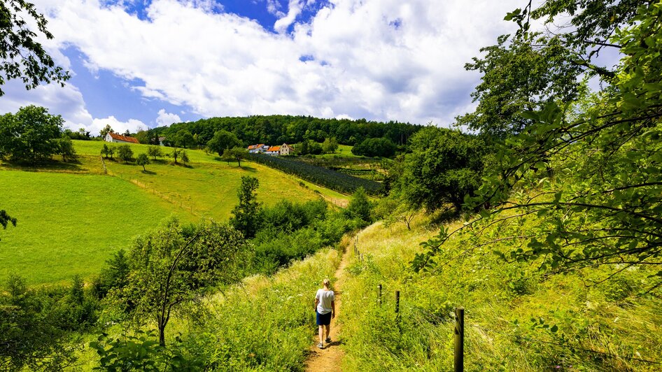 Wanderung für alle Sinne - Rettenbachklamm