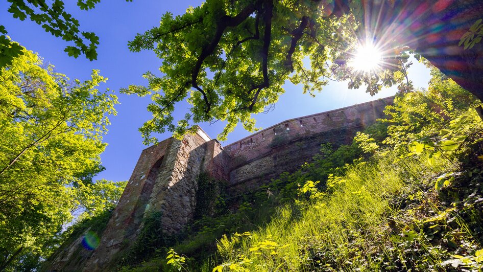 Ausblick auf die Festungsmauer am Grazer Schlossberg umgeben von Bäumen.
