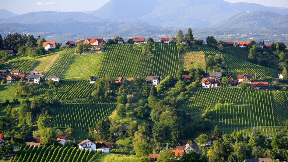 Schilcherweinstraße | © Steiermark Tourismus - Harry Schiffer