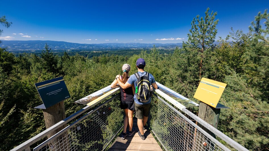 Der Weg ist das Ziel -  Den Buchkogel erwandern