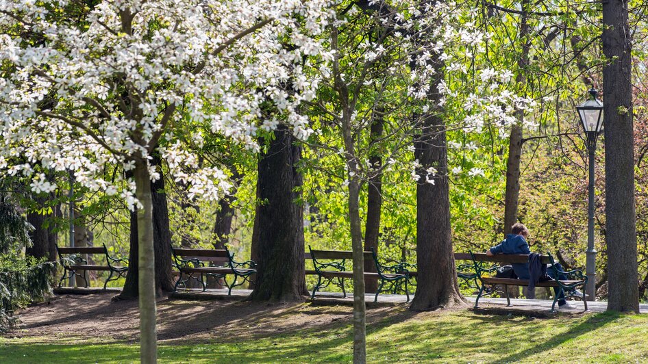 Stadtpark Graz | © Graz Tourismus - Harry Schiffer