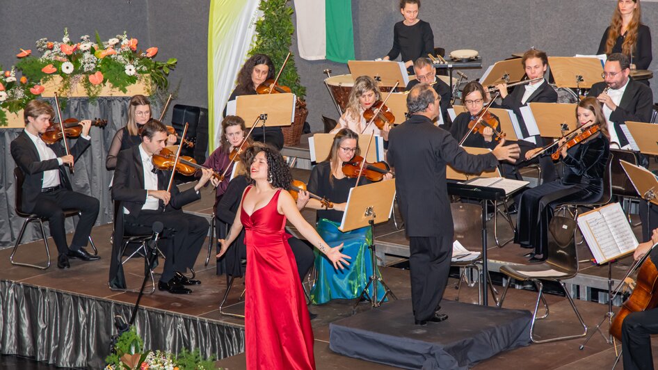 Aigner New Year's Concert - Impressionen #2.11