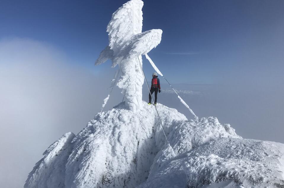 Bergführer Dachstein – Hans Prugger