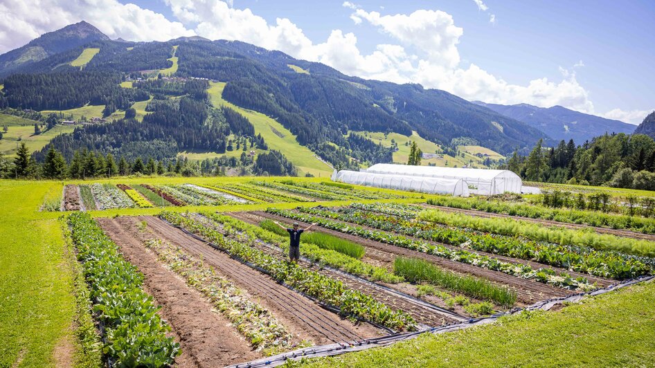 Your adventure in the garden on the mountain - Impressionen #2.4