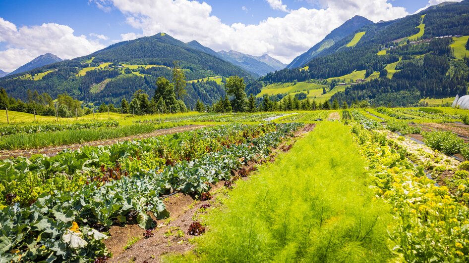 Your adventure in the garden on the mountain - Impressionen #2.2
