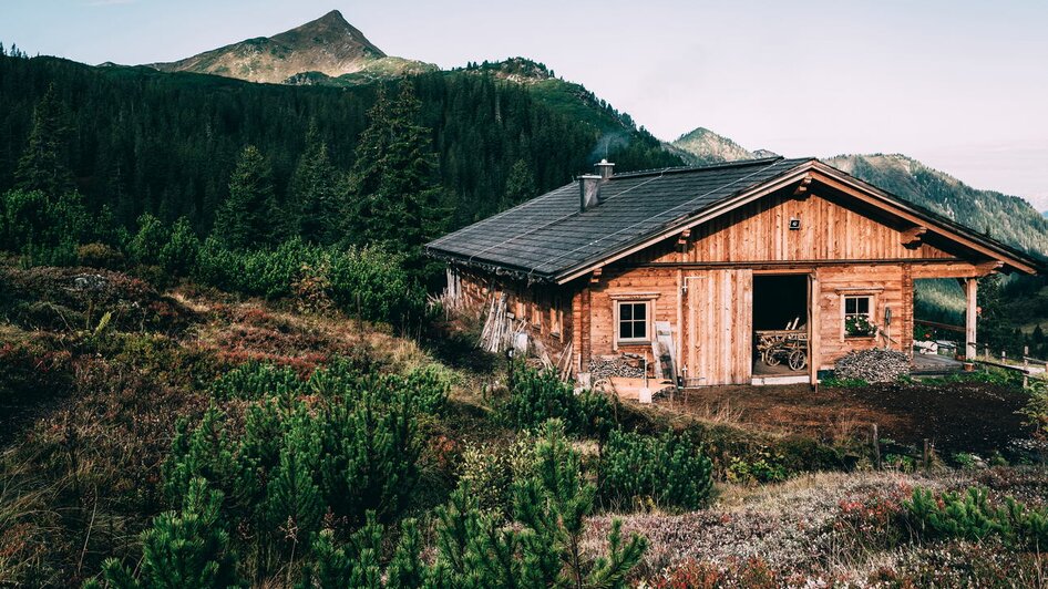 Guided tour "Mountain pine distillery" - Impressionen #2.2