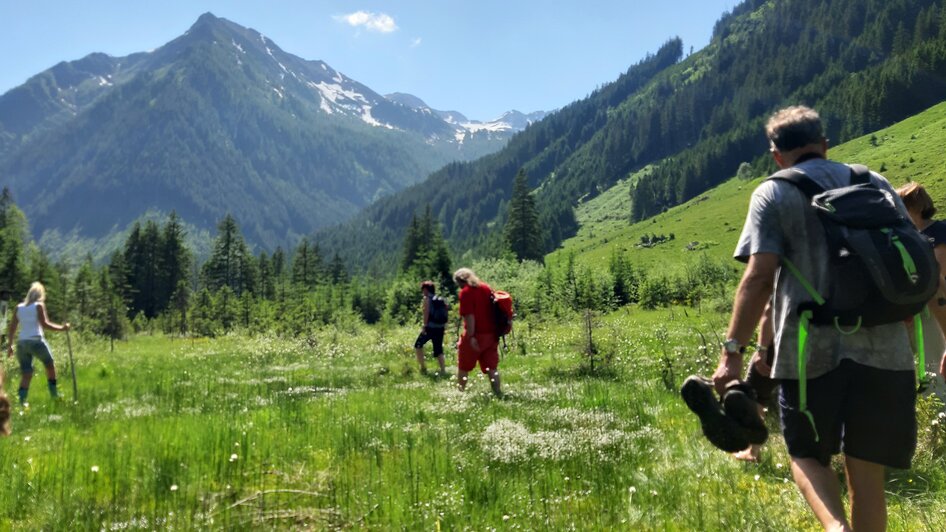 Kuh von Pflanze verschlungen - Keinen Tau von der Natur - Impressionen #2.2