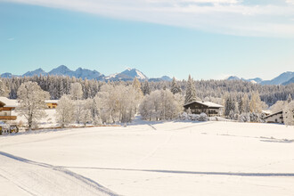 Verschneites Feld mit Wald im Hintergrund. | © Loretta Kvitek