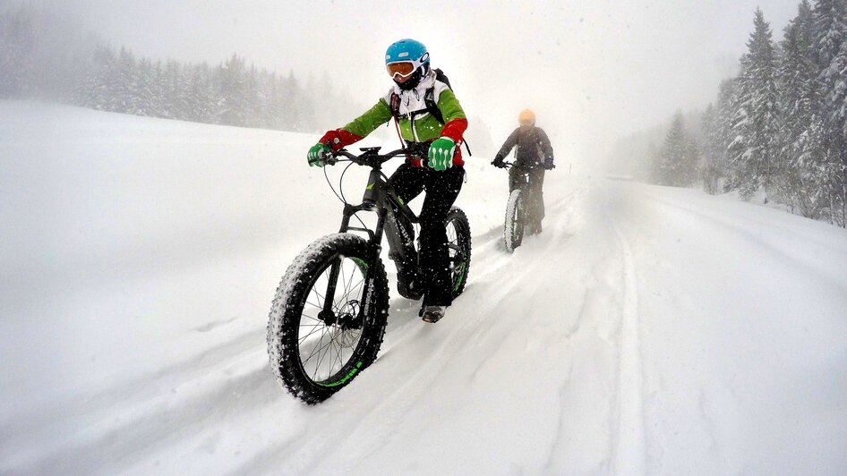 Gruppe am Fatbiken auf dem Schlittenweg. | © alpinefatbike.com