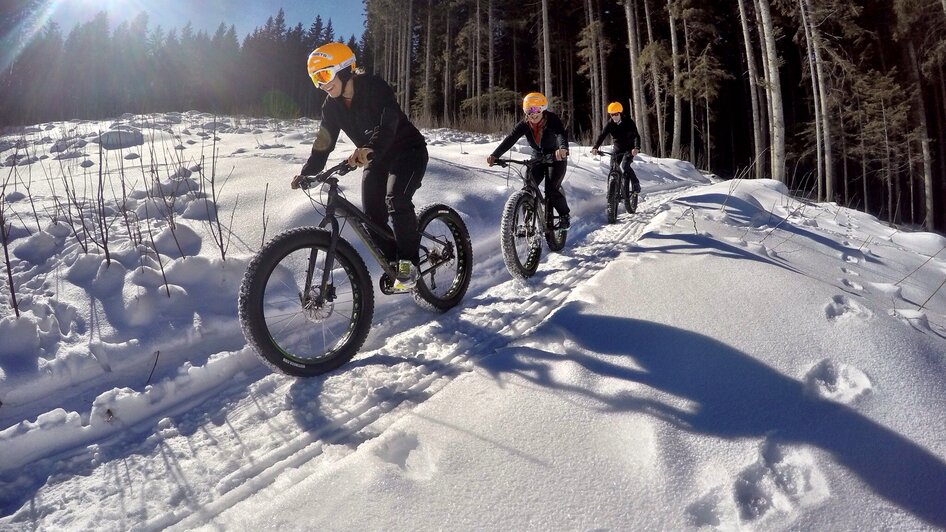 Fatbiken auf Waldwegen.  | © Alpine Fatbike