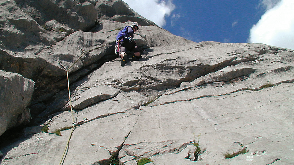 Alpinschul Klettergarten - Impression #2.1