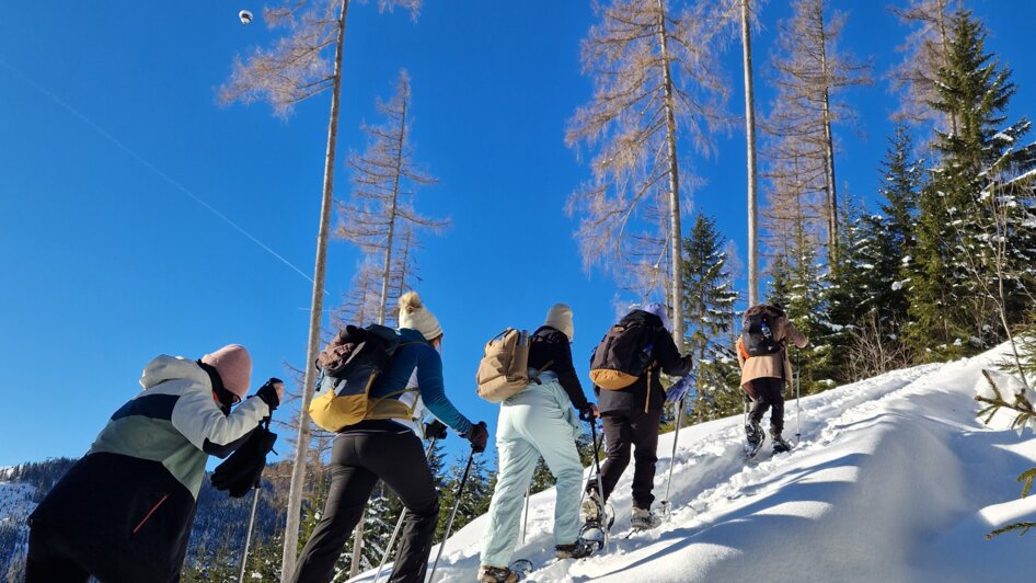 BergkulTour - Impression #2.9