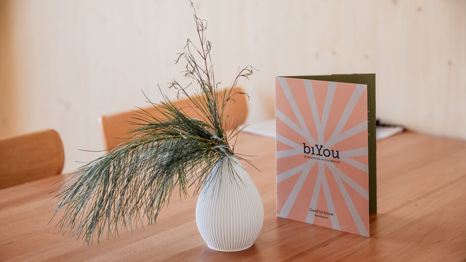 biYou Ecoquartier in the mountains - Impression #2.1