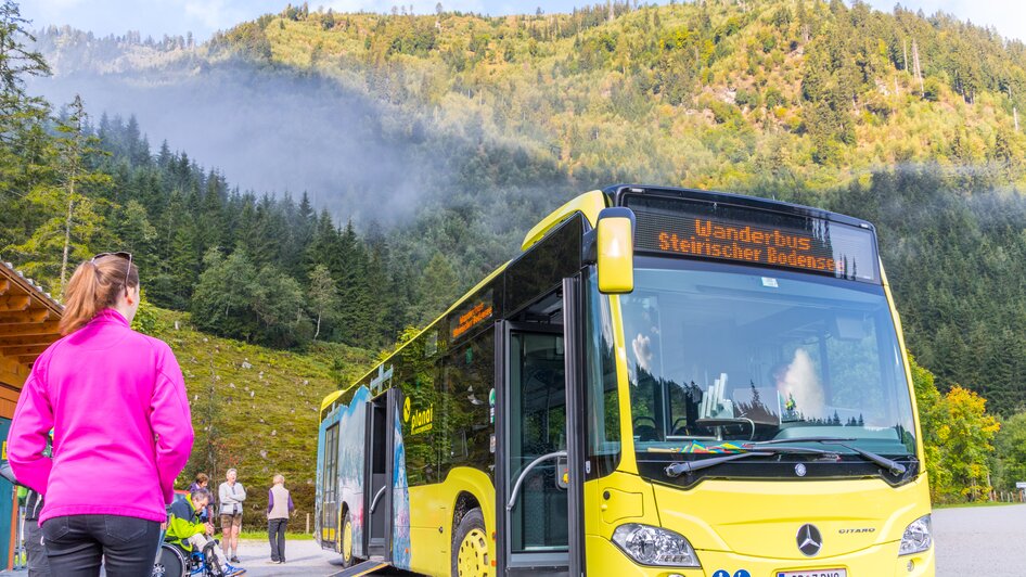 Der Planai-Wanderbus zum Bodensee | © Planai/Klünsner