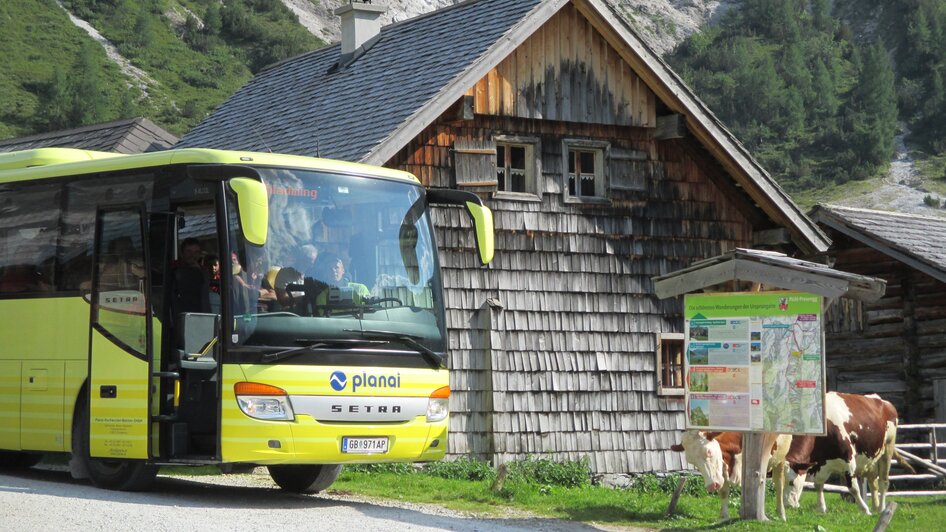 Der Planai-Wanderbus bei der Ursprungalm | © Planai