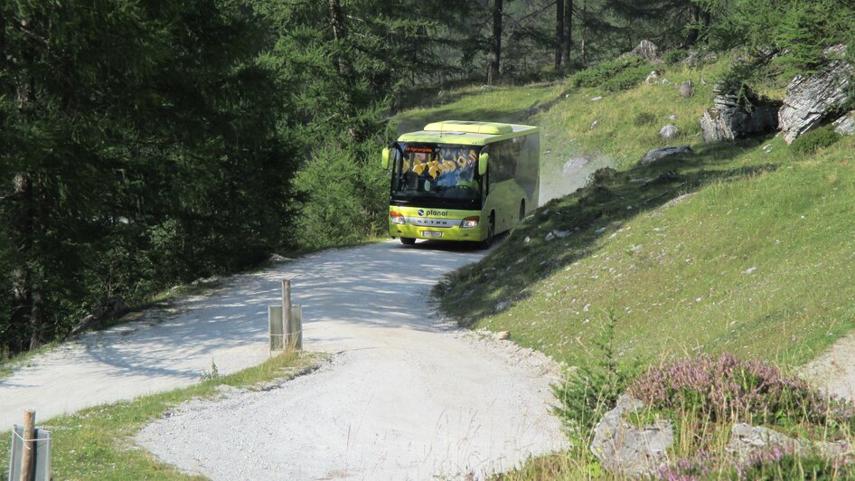 Mit dem Planai-Wanderbus zur Ursprungalm