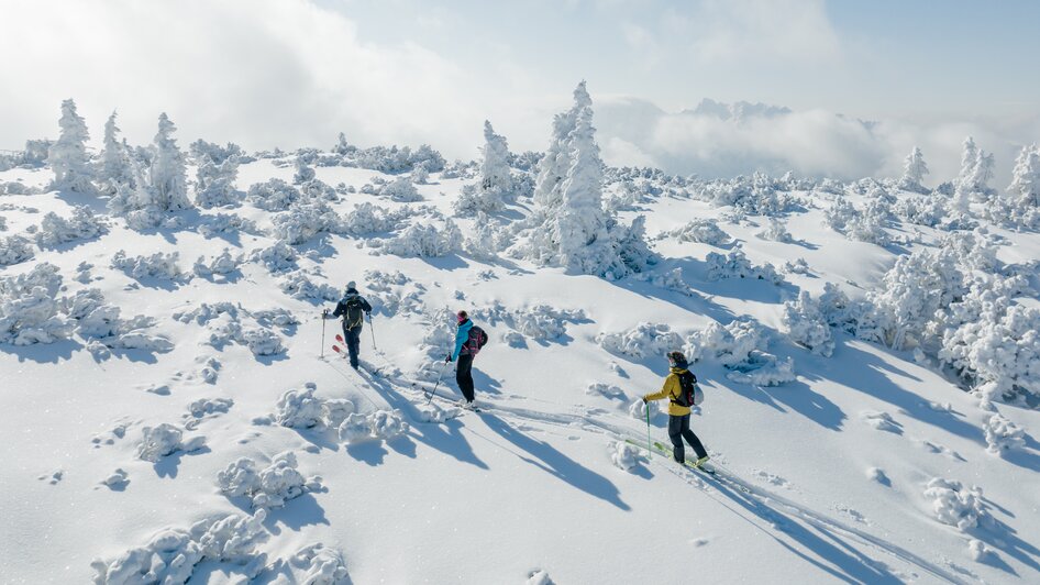 Die Bergstation Alpin & Freeride Center - Impression #2.1 | © Salzkammergut/Katrin Kerschbaumer