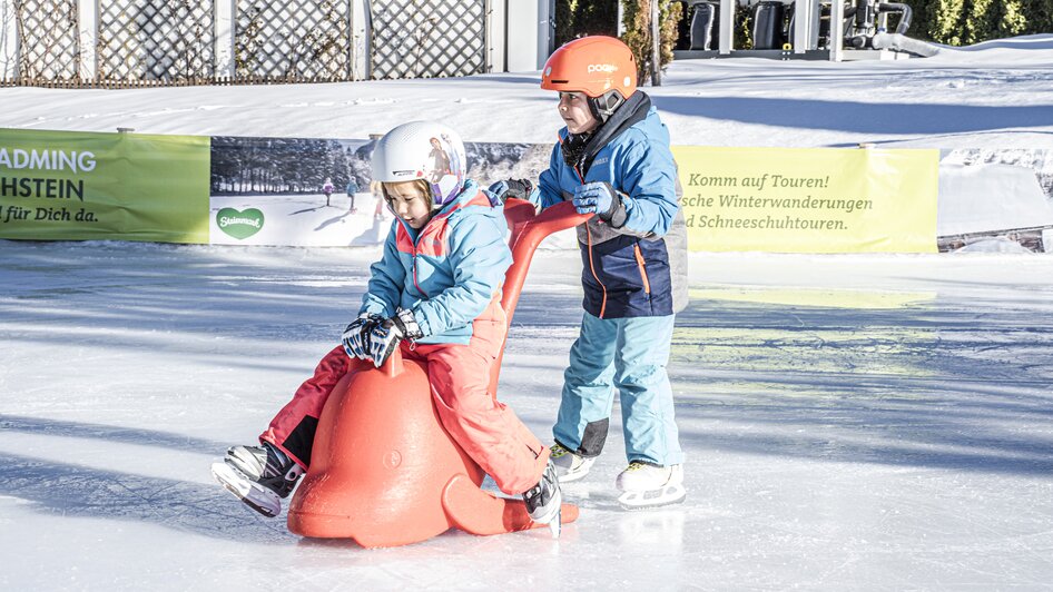 Ice rink Schladming - Impression #2.3