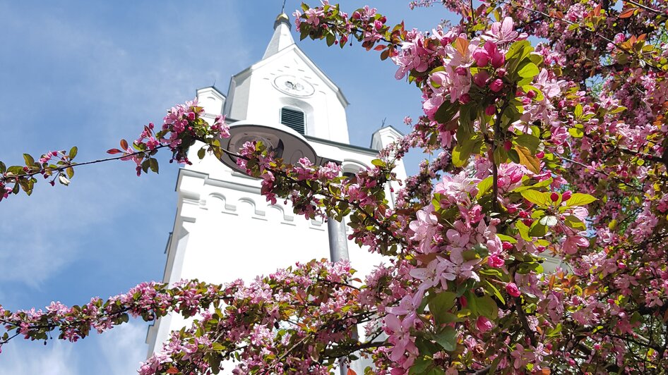 Evangelische Kirche Schladming - Impression #2.5 | © Gerhard Pilz