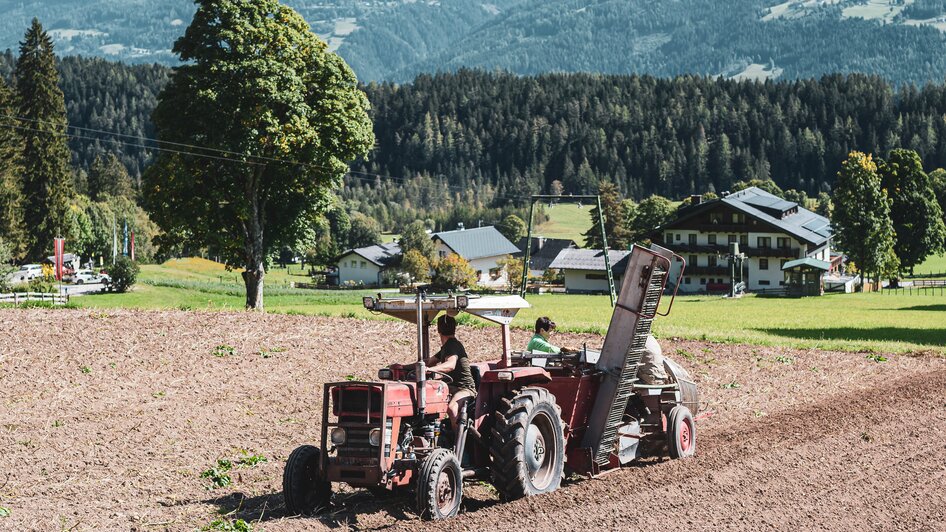 Feistererhof Wirtsstube - Impression #2.24 | © Anna Ullrich