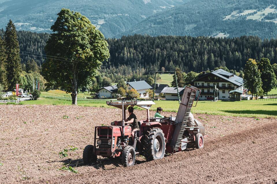 Feistererhof Wirtsstube - Impression #1 | © Anna Ullrich