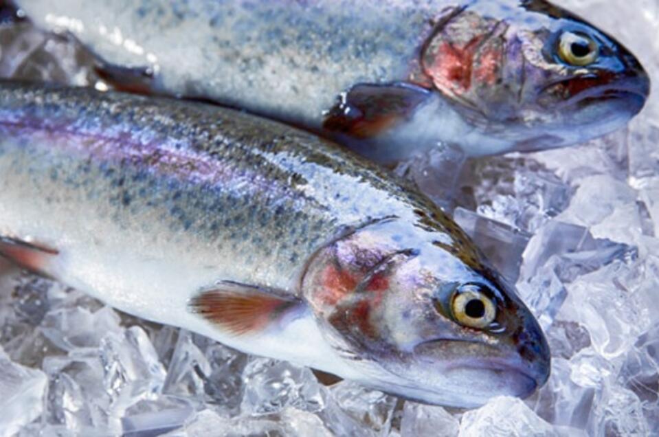Trout Sale Stiererhof - Impression #1