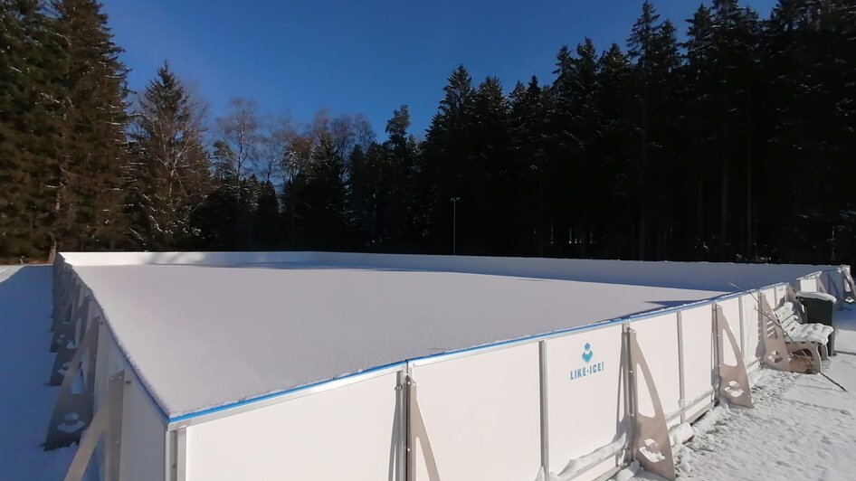 Year-round ice sports facility/skating rink - Impression #2.2