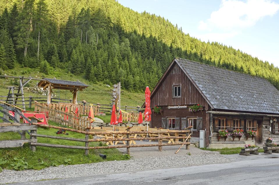 Hansenalm - Impression #1