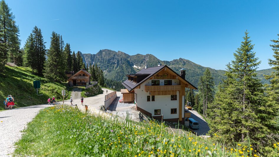 Harrys Alm  - Impression #2.2 | © Harrys Alm