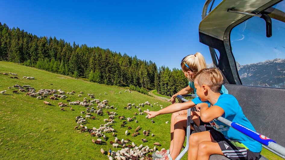 Hauser Kaibling 8-seater gondola lift and 8-seater chairlift Kaiblinggrat - Impression #2.1