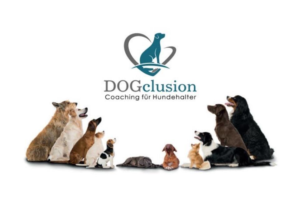 dog school: DOGclusion - Impression #1