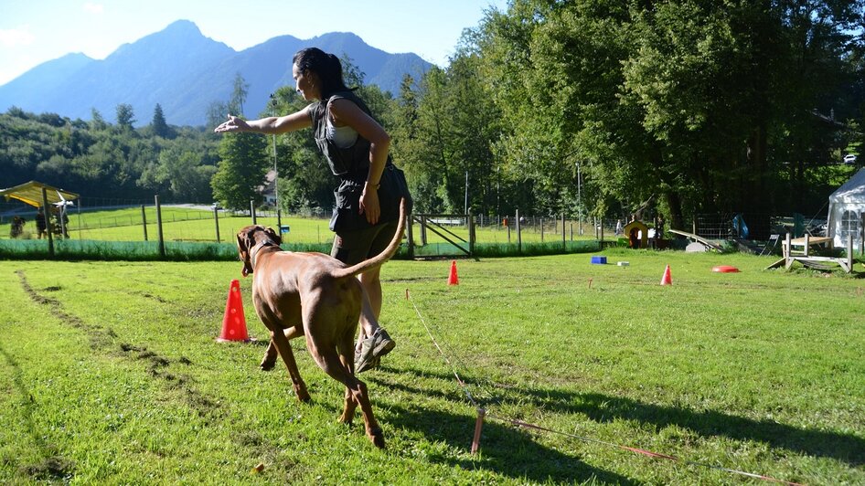 DOGclusion - Frau mit Hund