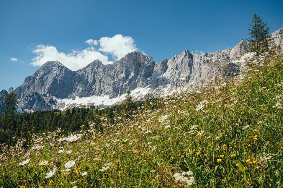 Information office Ramsau am Dachstein - Impression #1