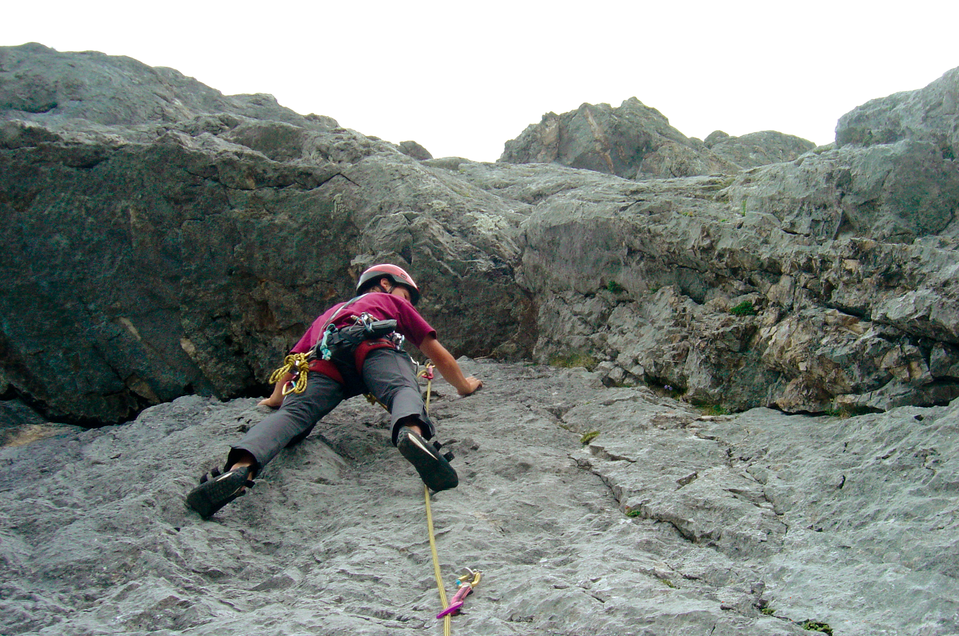 Zughalswand Climbing Garden - Impression #1