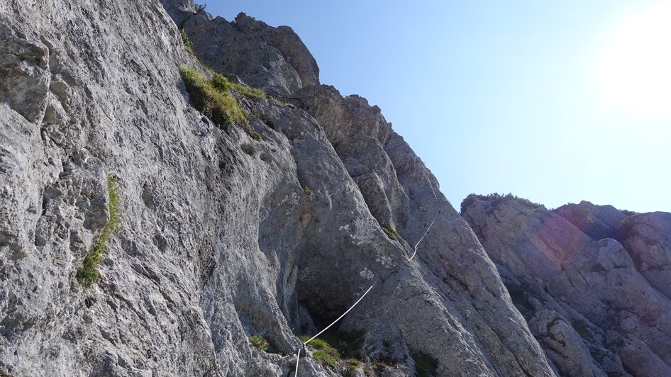 Klettersteiggarten am Stoderzinken - Impression #2.10 | © Alois Guggi