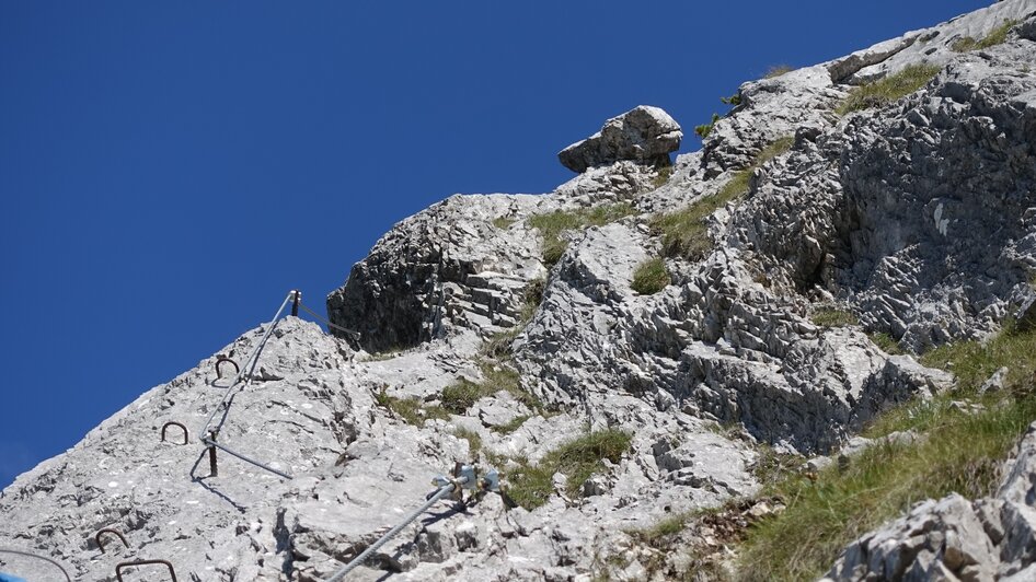 Klettersteiggarten am Stoderzinken - Impression #2.13 | © Alois Guggi