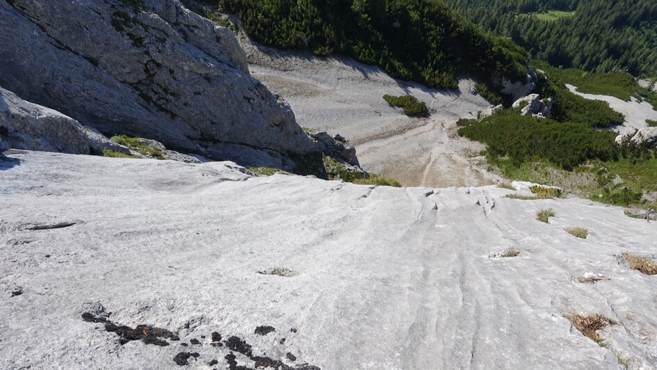 Klettersteiggarten am Stoderzinken - Impression #2.15 | © Alois Guggi 