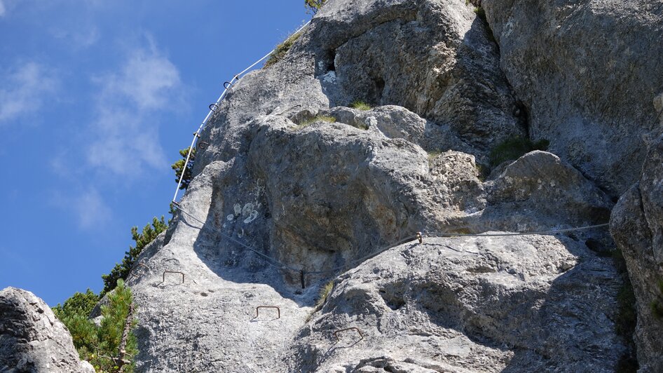 Klettersteiggarten am Stoderzinken - Impression #2.16 | © Alois Guggi 