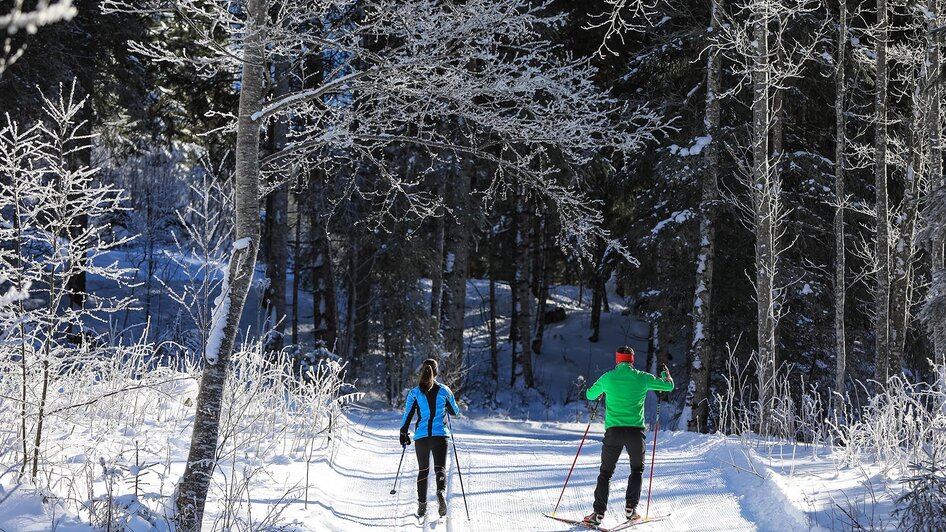 Langlaufen im Untertal - Impression #2.4 | © Gerhard Pilz/Tourismusverband Schladming - Martin Huber