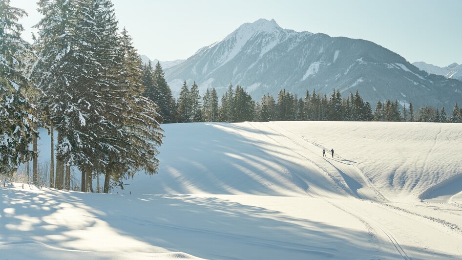 Langlaufen in Ramsau am Dachstein | © Peter Burgstaller