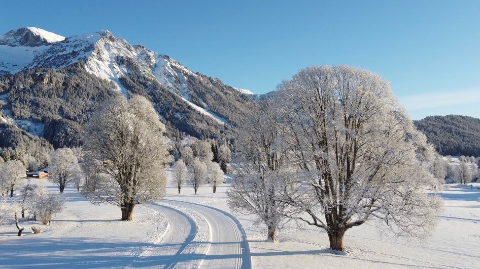 Cross-Country Ski School Hotel Annelies  - Impression #2.6