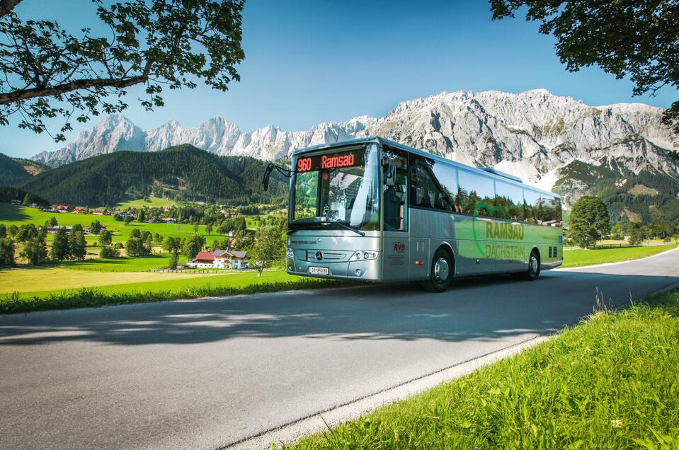 Linienbusse Ramsau am Dachstein  - Impression #1 | © Photo-Austria.at