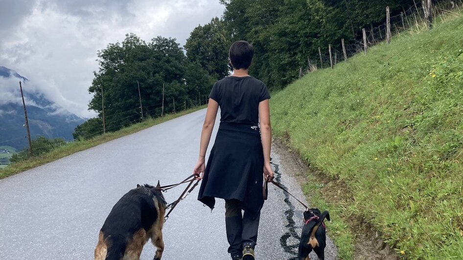 Patricia Stocker - DogsMindset - Impression #2.2