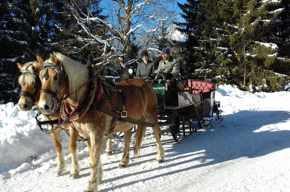 Horse Drawn Sleigh and Carriage Rides Steinbauer - Impression #1