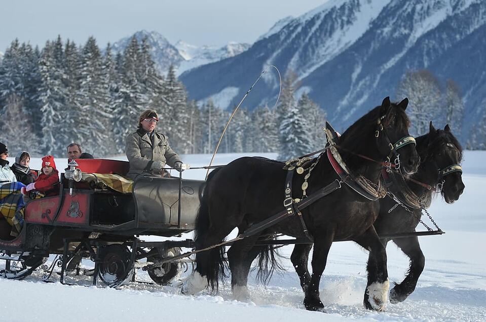 Horse Drawn Sleigh and Carriage Rides Zechmannhof - Impression #1