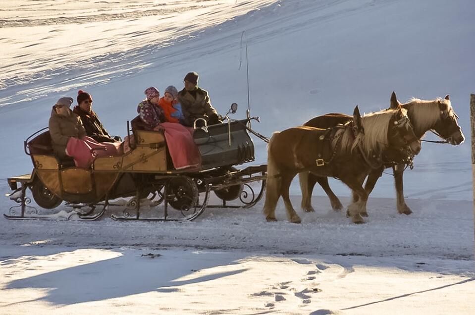 Horse Drawn Sleigh Rides Brandstätter - Impression #1