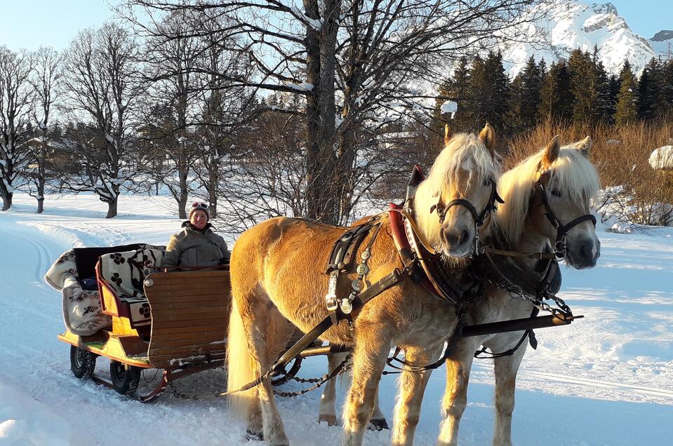 Horse Drawn Sleigh Rides Kielerhof - Impression #1